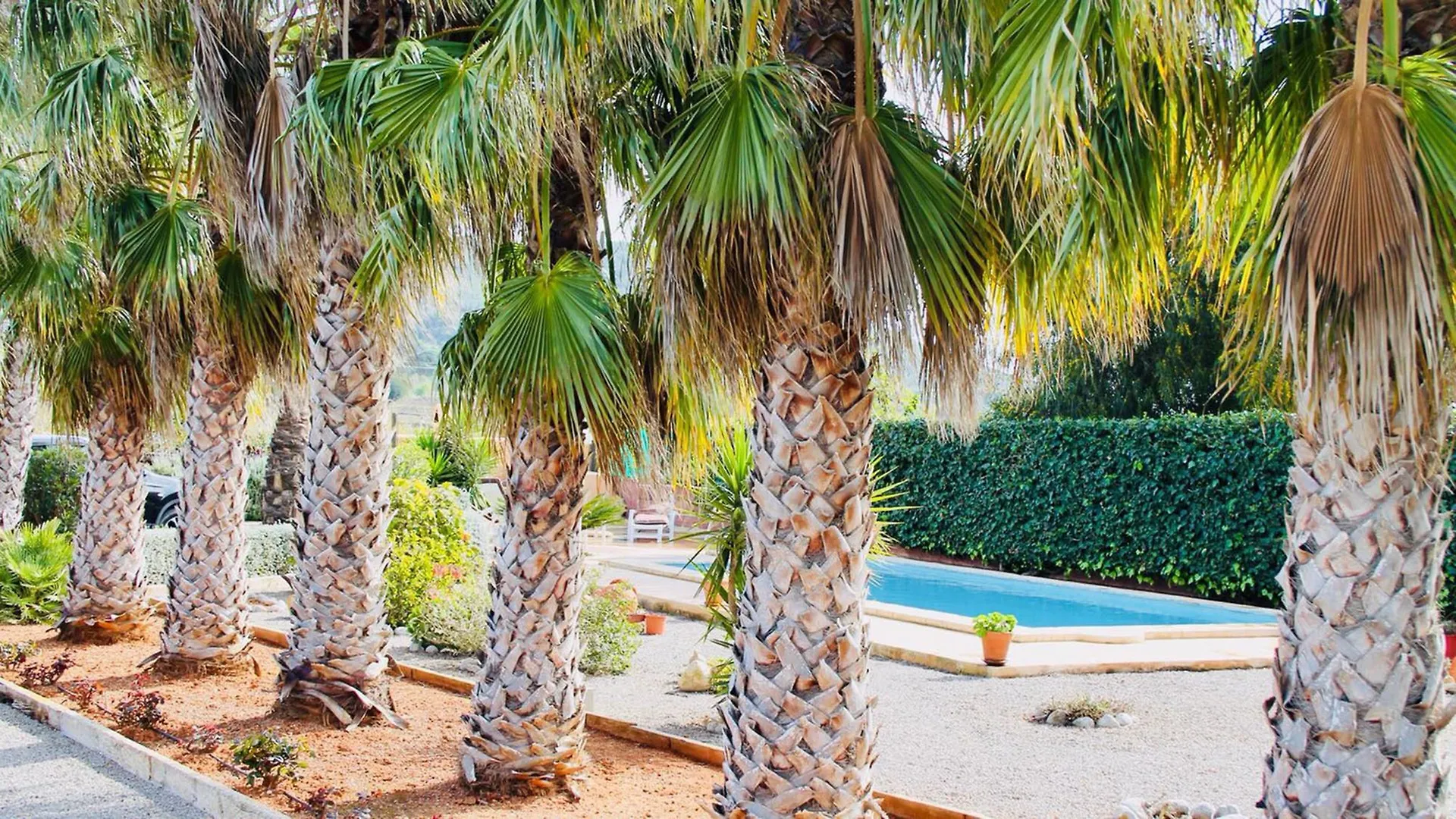 Las Palmeras Santa Eularia des Riu 0*,  Španělsko